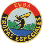 Ärmelabzeichen gedruckt/printed arm patch. 1990er Jahre/1990s. (Sammlung: Manuel Leyva)